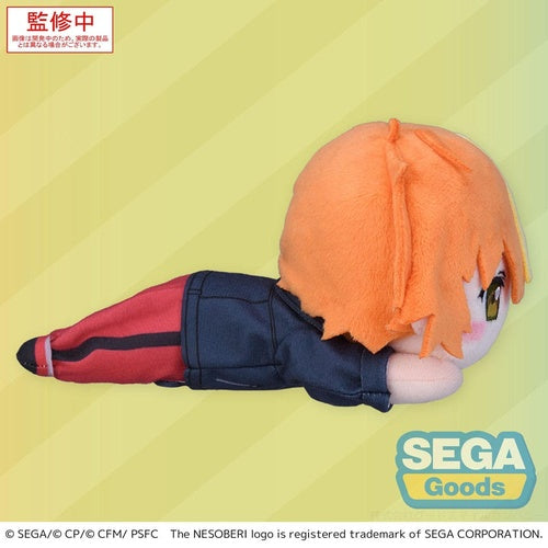 COLORFUL STAGE! The Movie: A Miku Who Can't Sing peluche Nesoberi Lay-Down Shinonome Akito 16 cm
