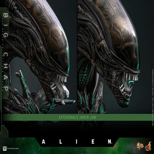 Alien figurine Movie Masterpiece 1/6 Big Chap 36 cm