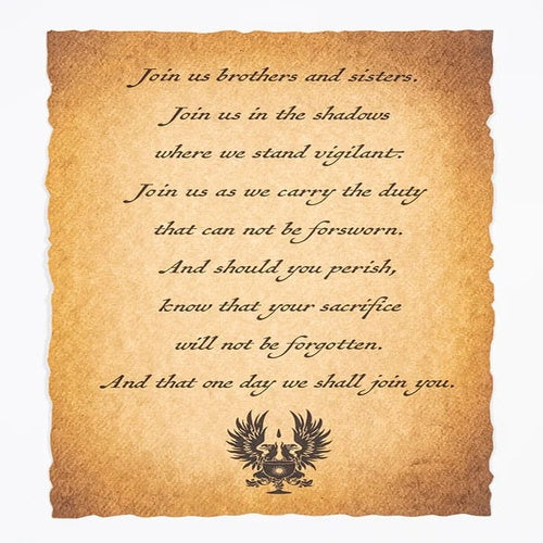 Dragon Age Geschenkbox Grey Warden Joining Bundle