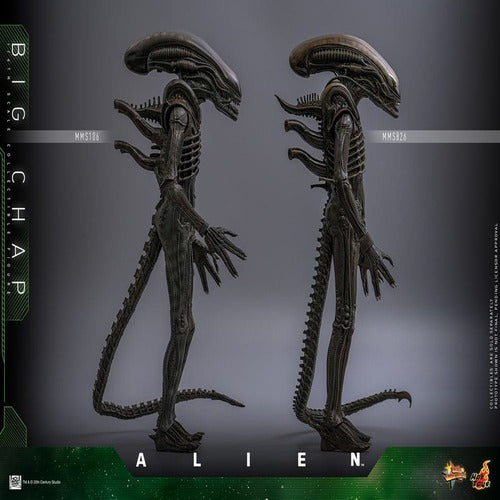 Alien figurine Movie Masterpiece 1/6 Big Chap 36 cm
