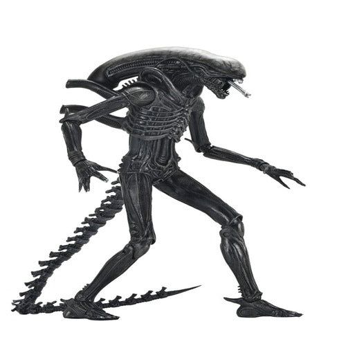 Alien: Romulus figurine Ultimate Xenomorph XX121 18 cm