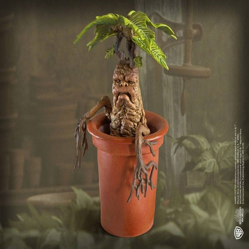 Harry Potter Statuette Magical Creatures Mandrake 13 cm