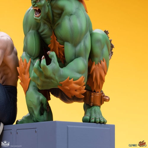 Street Fighter PVC Statuen 1/10 Blanka & Fei Long 21 cm