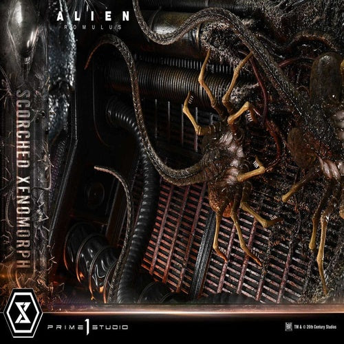 Alien: Romulus statuette Museum Masterline XL 1/3 Scorched Xenomorph 98 cm