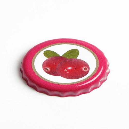 Fallout Bottle Series Replik Glass Bottle & Cap Nuka Cola Cranberry