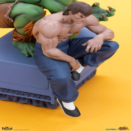 Street Fighter PVC Statuen 1/10 Blanka & Fei Long 21 cm