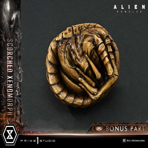 Alien: Romulus statuette Museum Masterline XL 1/3 Scorched Xenomorph Deluxe Bonus Version 98 cm