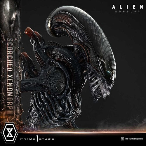 Alien: Romulus statuette Museum Masterline XL 1/3 Scorched Xenomorph 98 cm