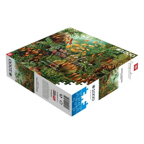 Ernst Haeckel puzzle Imagination Muscinae (1000 pièces)
