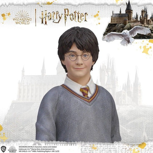 Harry Potter Life-Size statue 1/1 Harry Potter 174 cm