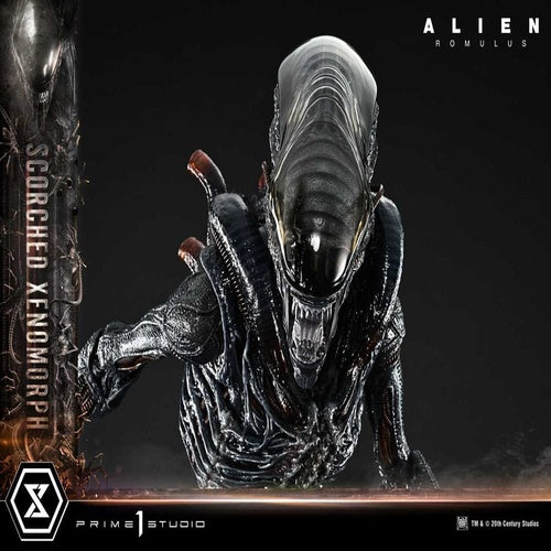 Alien: Romulus statuette Museum Masterline XL 1/3 Scorched Xenomorph Deluxe Bonus Version 98 cm
