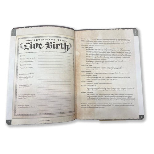 Cahier A5 Player's Journal Sage Green Shield