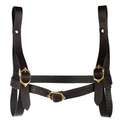 Dungeons & Dragons Buchträger Wizard Brown