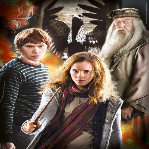 Harry Potter pack 3 Puzzles Characters (3 x 1000 pièces)