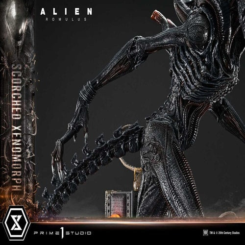 Alien: Romulus statuette Museum Masterline XL 1/3 Scorched Xenomorph 98 cm