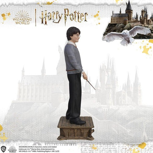Harry Potter Life-Size statue 1/1 Harry Potter 174 cm
