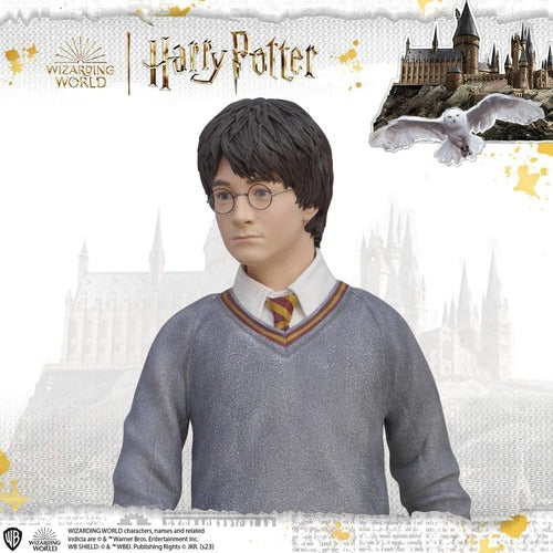 Harry Potter Life-Size statue 1/1 Harry Potter 174 cm