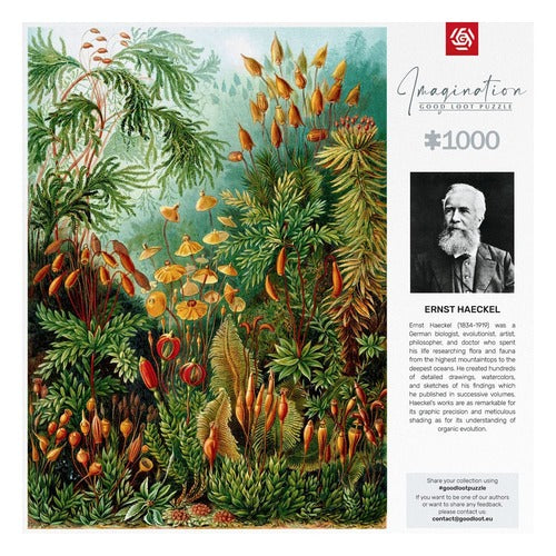 Ernst Haeckel puzzle Imagination Muscinae (1000 pièces)