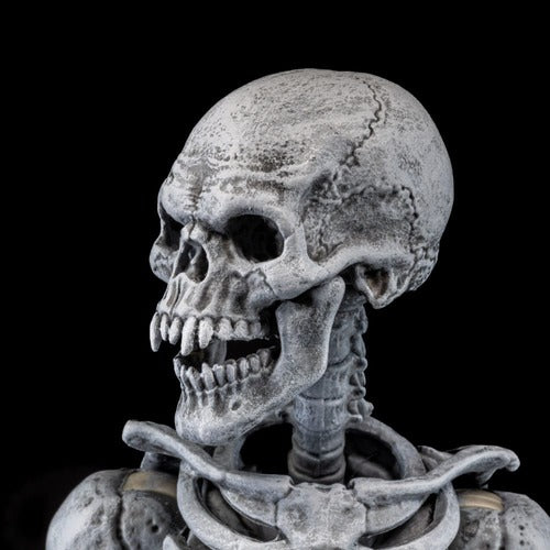 Graveyard Skeletons pack 4 figurines
