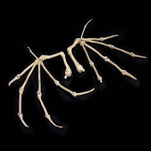 Mythic Legions: All Stars 6 accessoires pour figurines Bone Wings