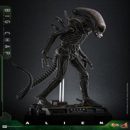 Alien figurine Movie Masterpiece 1/6 Big Chap 36 cm