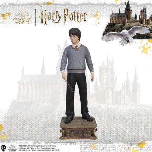 Harry Potter Life-Size statue 1/1 Harry Potter 174 cm