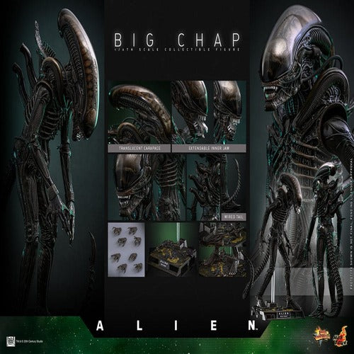 Alien figurine Movie Masterpiece 1/6 Big Chap 36 cm