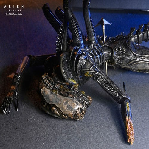 Alien: Romulus figurine Deluxe Suspended Lab Xenomorph XX121 18 cm
