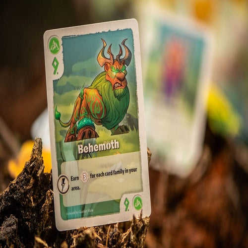 The Vale of Eternity Jeu de cartes *ANGLAIS*