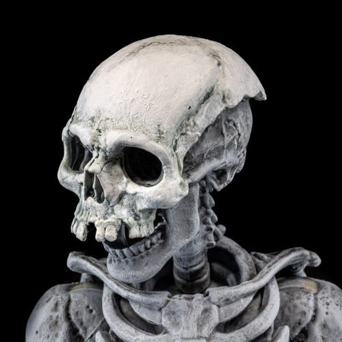 Graveyard Skeletons pack 4 figurines