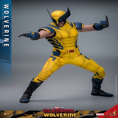Deadpool & Wolverine Movie Masterpiece Actionfigur 1/6 Wolverine 31 cm