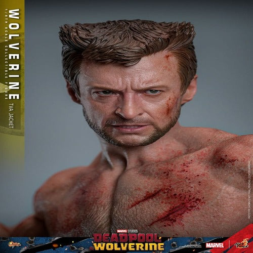 Deadpool & Wolverine Movie Masterpiece Actionfigur 1/6 Wolverine (TVA Jacket Version) 31 cm