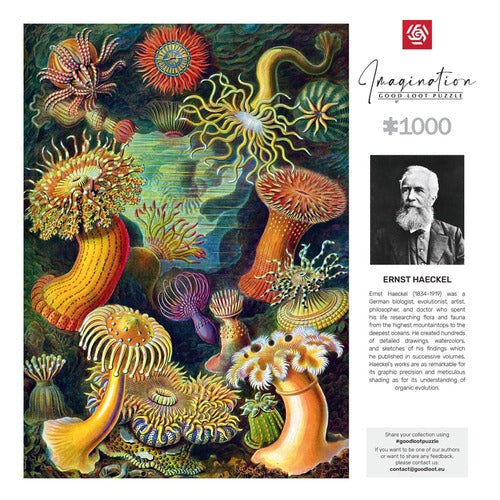 Ernst Haeckel puzzle Imagination Sea Anemones/Stworzenia morskie (1000 pièces)