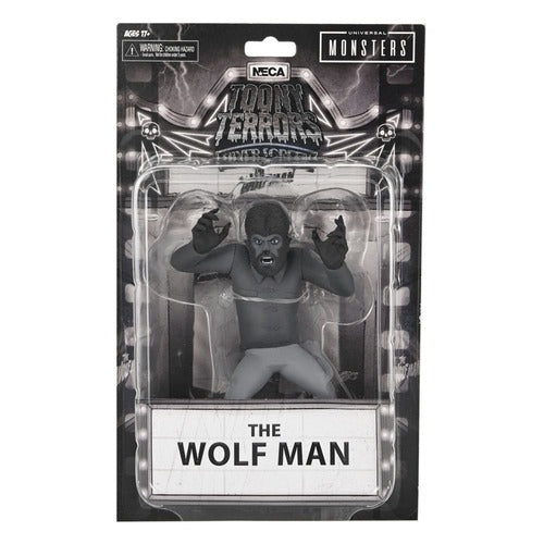 Universal Monsters Toony Terrors assortiment figurines 15 cm Silver Screen Edition Series 10 (12)