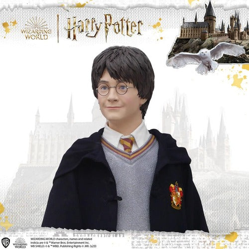 Harry Potter Life-Size statue 1/1 Harry Potter 174 cm