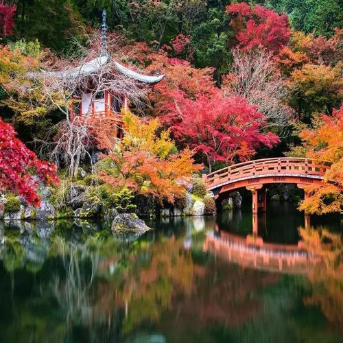 Beautiful Gardens puzzle Daigo-ji, Kyoto, Japan (1000 pièces)
