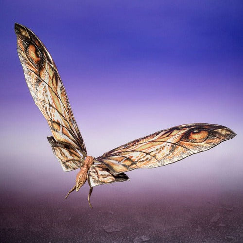 Godzilla x Kong: The New Empire S.H. Monster Arts Actionfiguren 2er-Pack Suko & Mothra