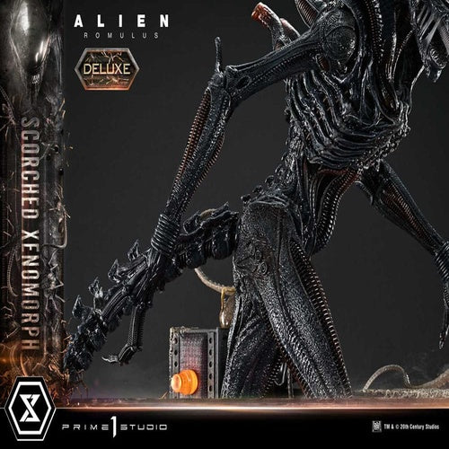 Alien: Romulus statuette Museum Masterline XL 1/3 Scorched Xenomorph Deluxe Version 98 cm
