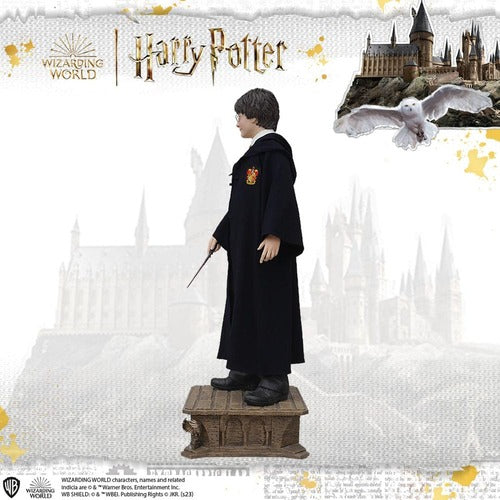 Harry Potter Life-Size statue 1/1 Harry Potter 174 cm