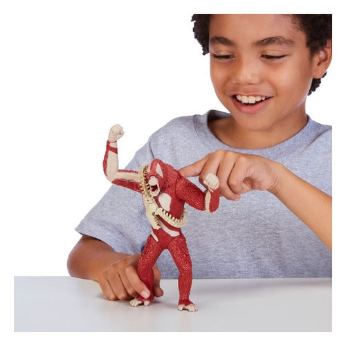 Godzilla x Kong The new Empire Actionfiguren Deluxe elek Figures 18 cm Sortiment (4)