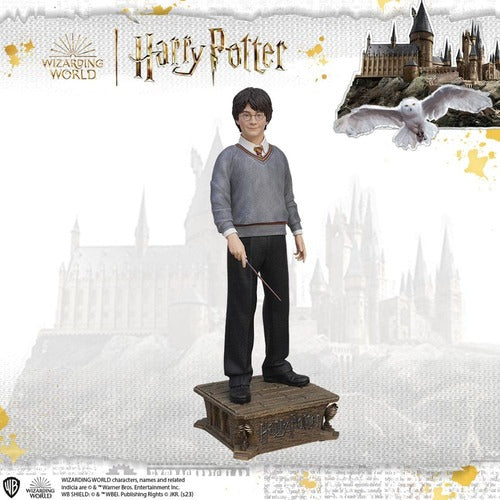 Harry Potter Life-Size statue 1/1 Harry Potter 174 cm