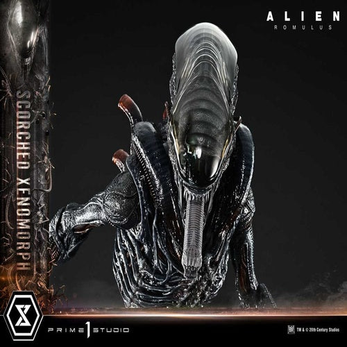 Alien: Romulus statuette Museum Masterline XL 1/3 Scorched Xenomorph Deluxe Bonus Version 98 cm
