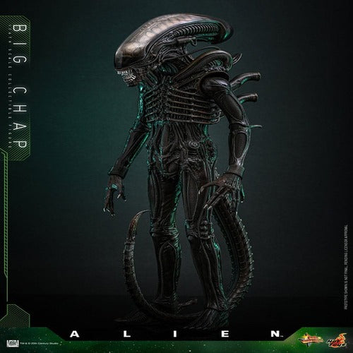 Alien figurine Movie Masterpiece 1/6 Big Chap 36 cm