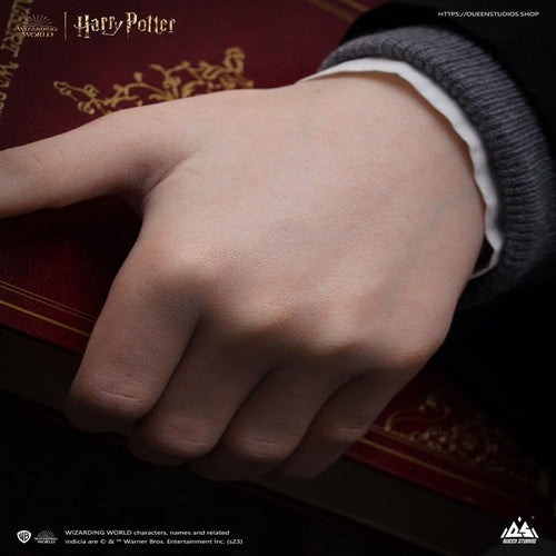 Harry Potter buste 1/1 Harry 76 cm