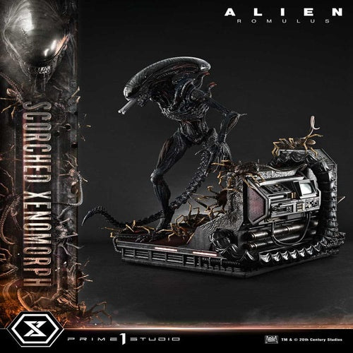 Alien: Romulus statuette Museum Masterline XL 1/3 Scorched Xenomorph Deluxe Bonus Version 98 cm