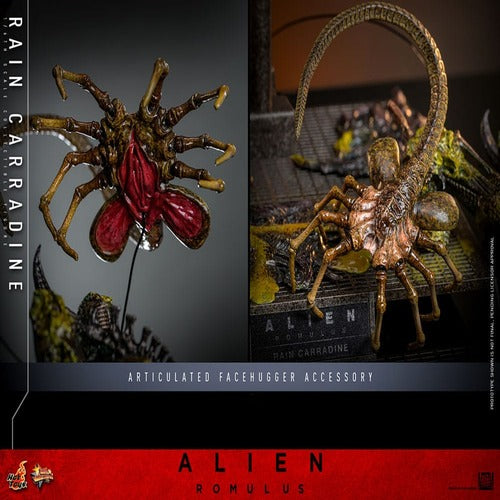 Alien: Romulus figurine Movie Masterpiece 1/6 Rain Carradine 26 cm