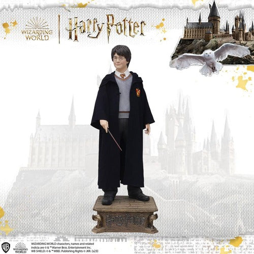 Harry Potter Life-Size statue 1/1 Harry Potter 174 cm