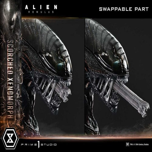 Alien: Romulus statuette Museum Masterline XL 1/3 Scorched Xenomorph 98 cm