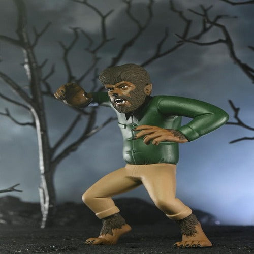 Wednesday Toony Terrors assortiment figurines 15 cm Series 10 (12)