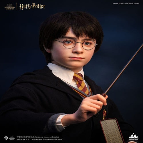 Harry Potter buste 1/1 Harry 76 cm